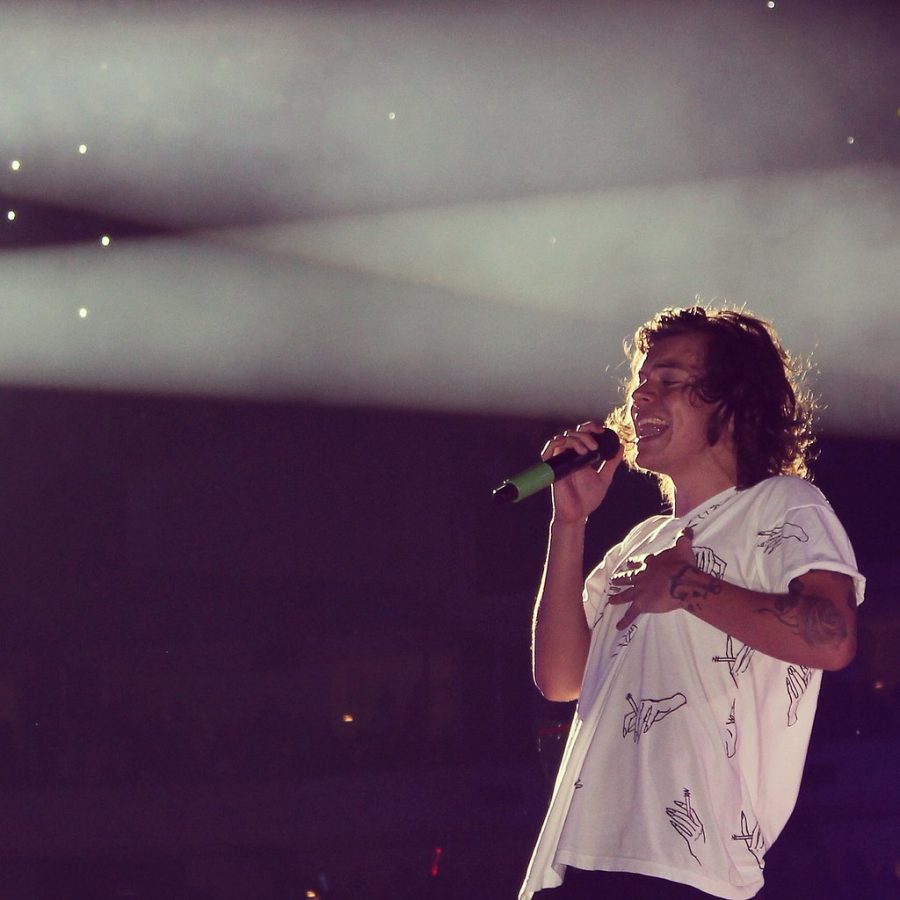 Harry Styles performs at a concert.