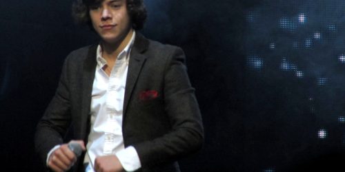 Harry Styles flexes a concert