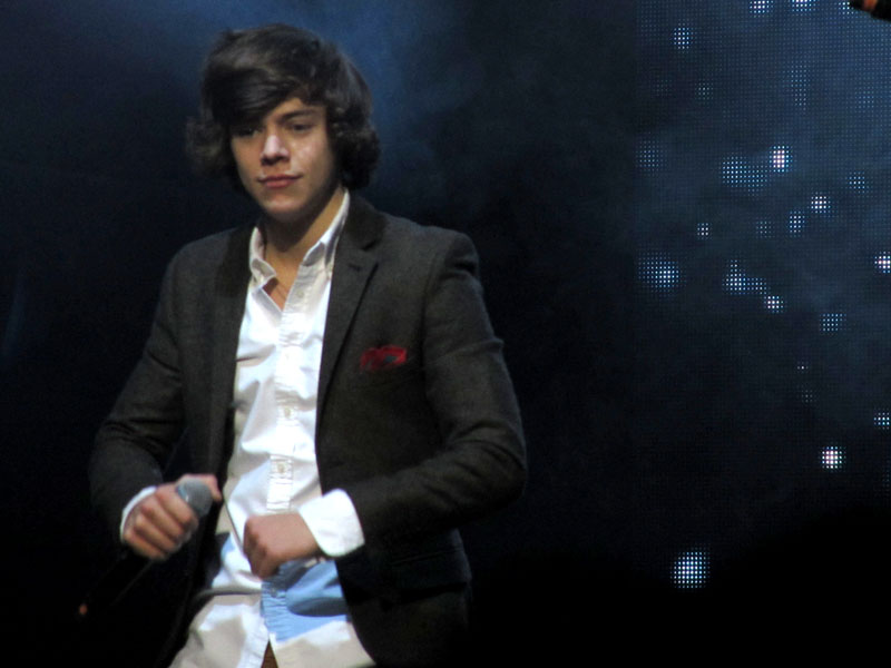 Harry Styles flexes a concert