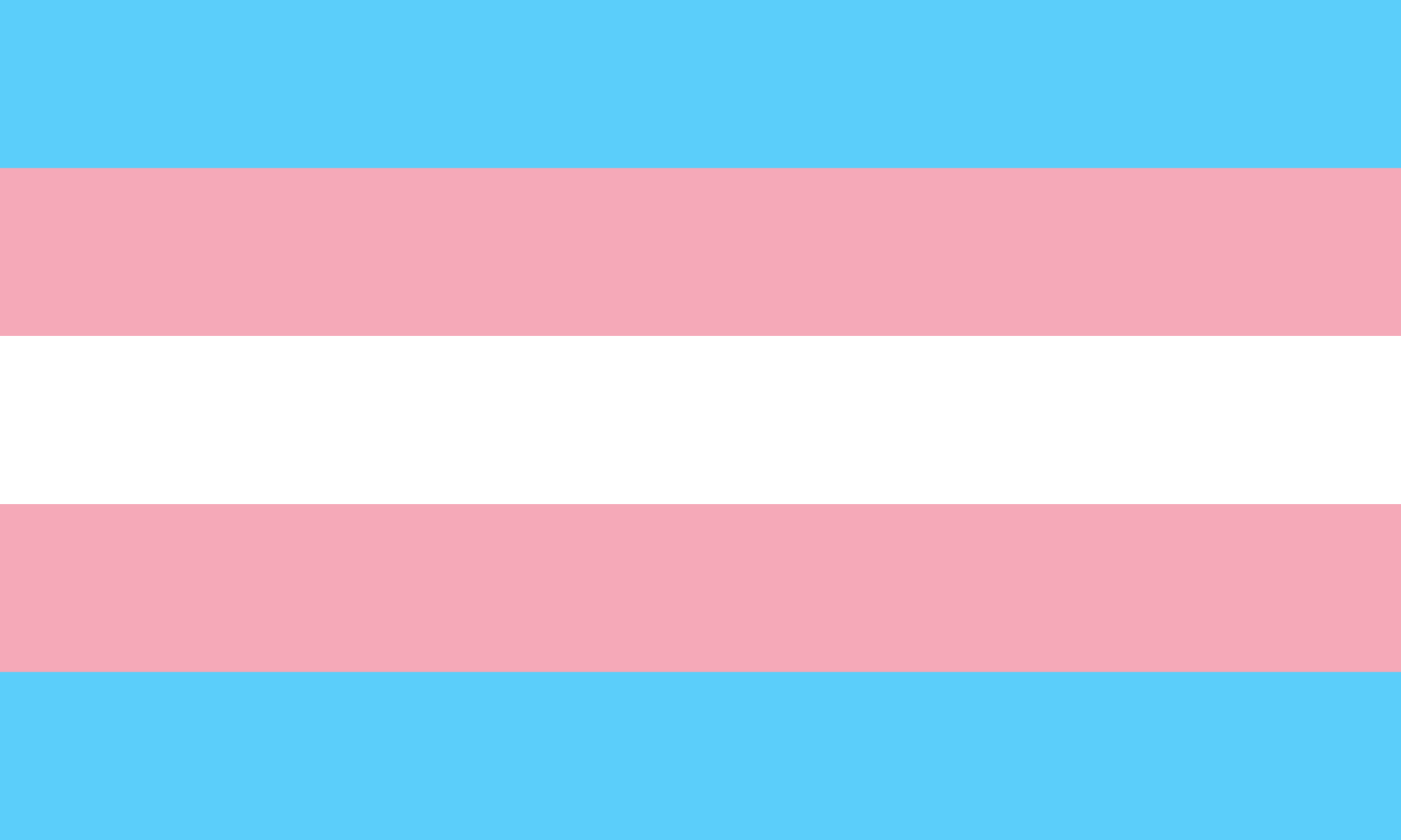 The transgender flag.