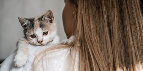 Rescue cat hugging a lady after being adopted