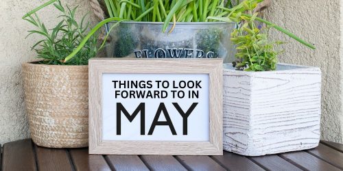 Things To Look Forward To In May