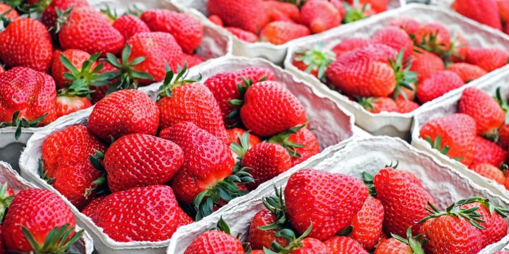 Local strawberries in baskets
