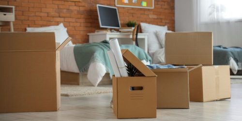 Dorm decor ideas and trends