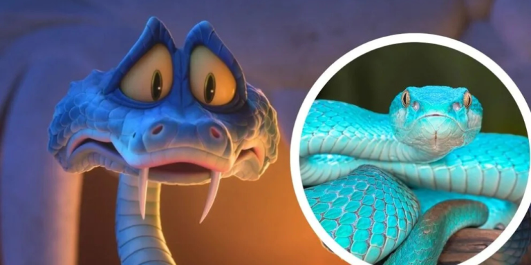 Zootopia Alien Zootopia 2 Success Sparks a Risky Real-World Pet Trend | 107.5 Kool FM