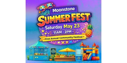 Moonstone Summer Fest at Ramey Park. First annual community festival.