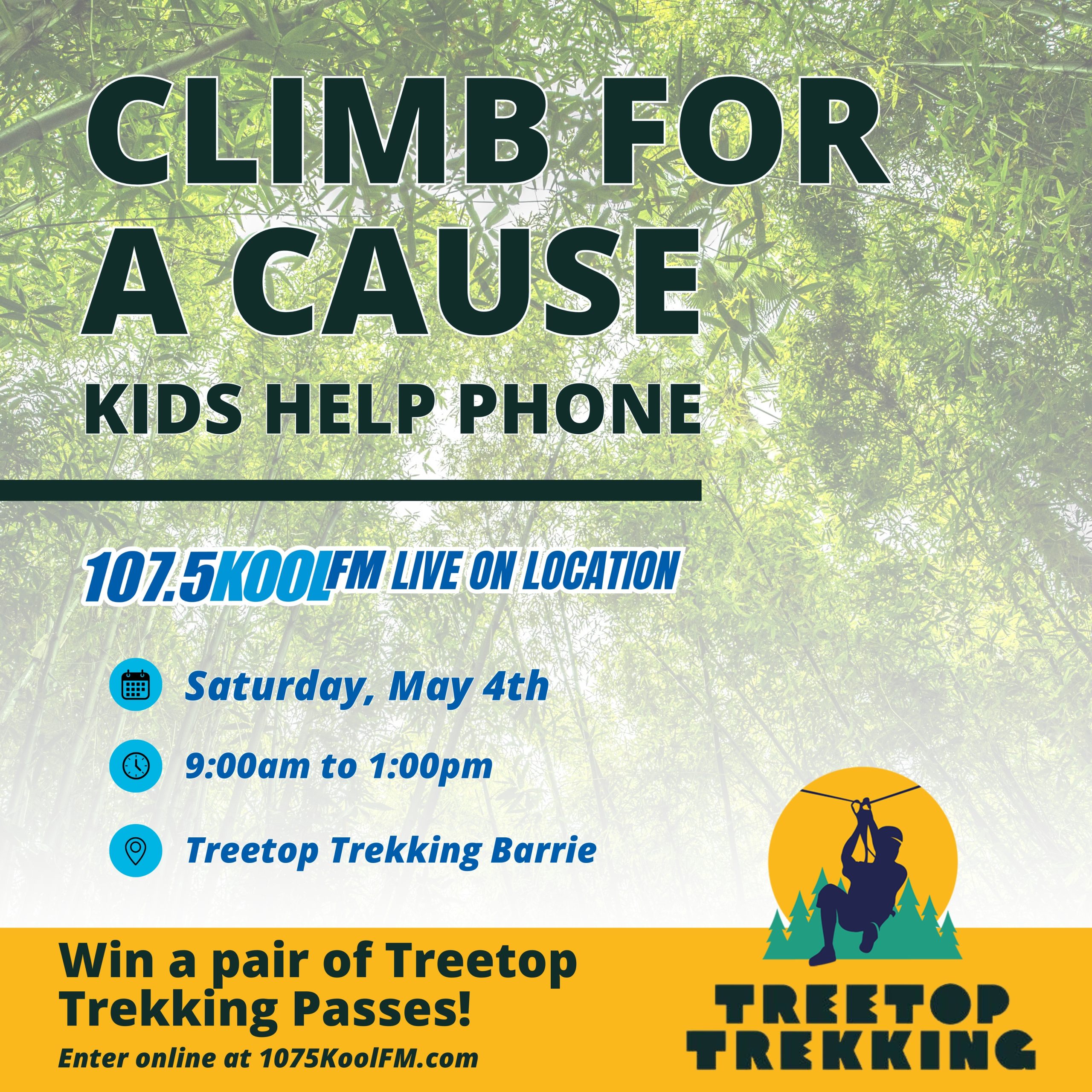 Climb for a Cause 2024: Kids Help Phone